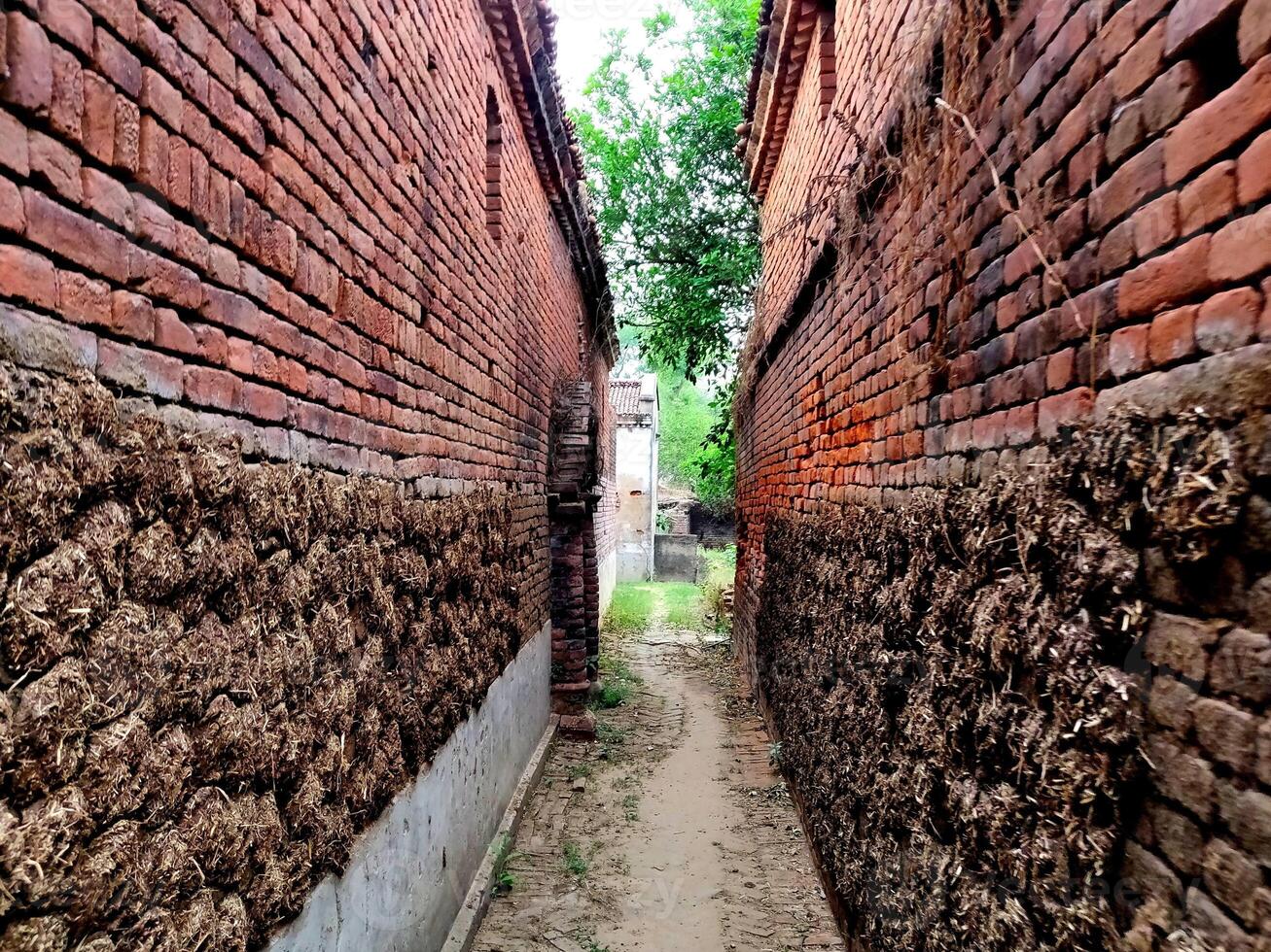 Cow Dung Cakes across a narrow street on brick walls in India photo