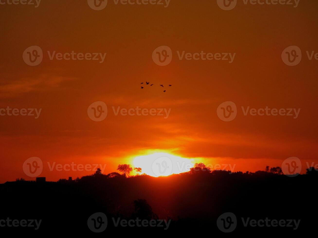 The beautiful appearance of sun rising behind clouds and sun rays coming down to a dense forest photo