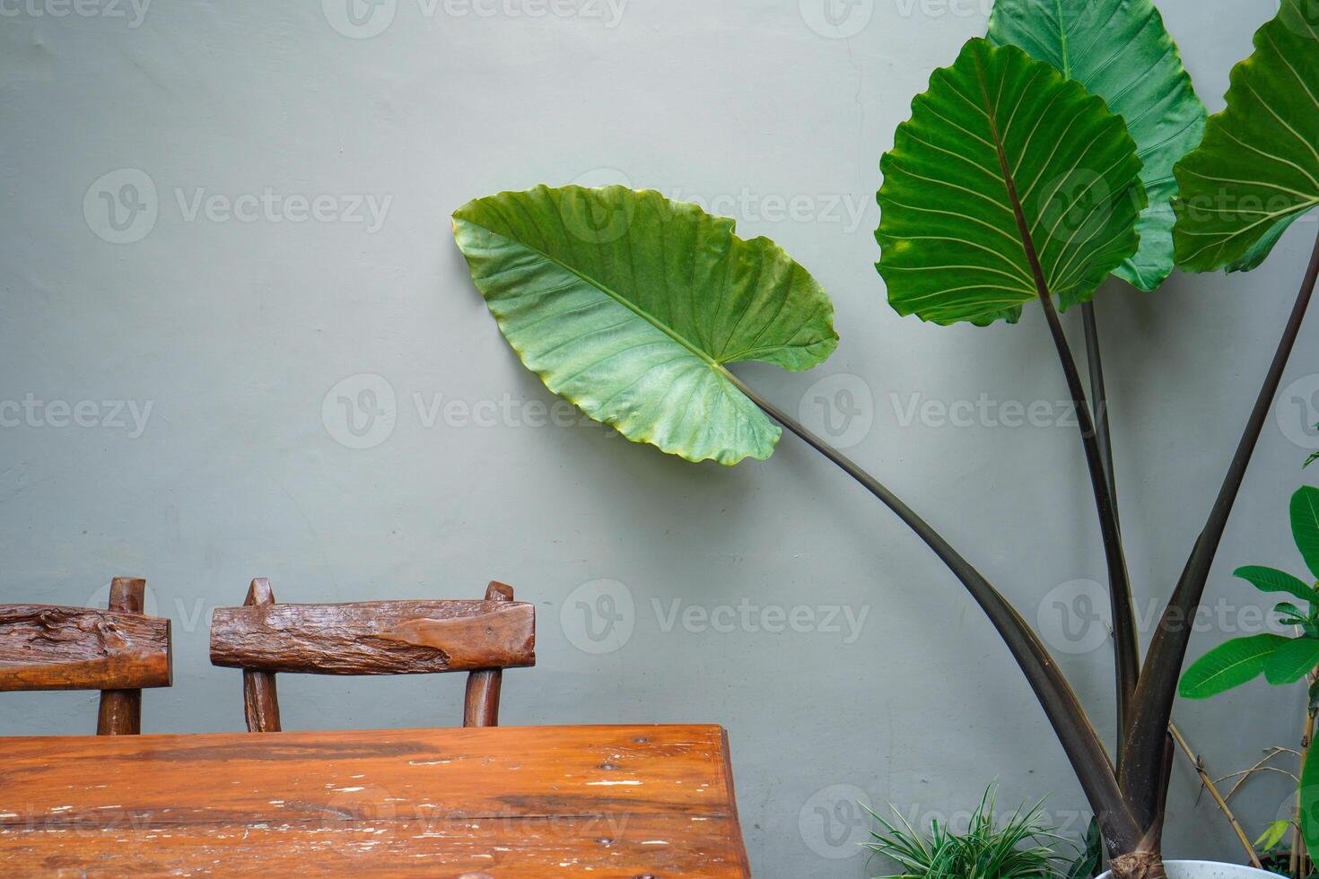 simple minimalist wooden tables and chairs for sitting and drinking coffee in a coffee shop with a natural atmosphere photo