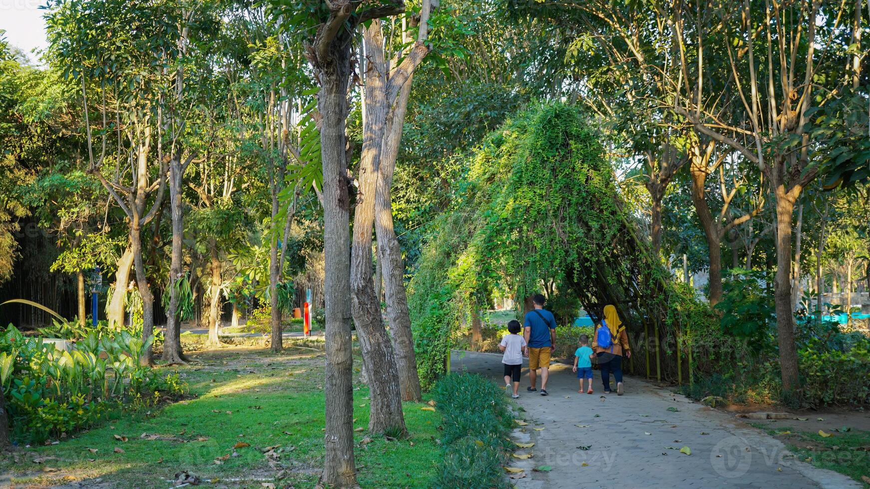 Beautiful landscape in park with tree and green grass field at morning photo
