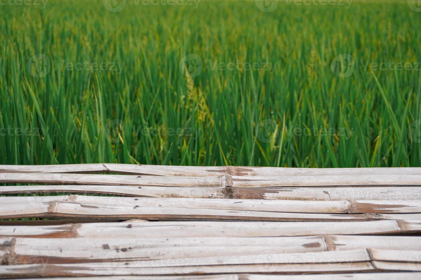 A bamboo table with a blurry rice field background photo