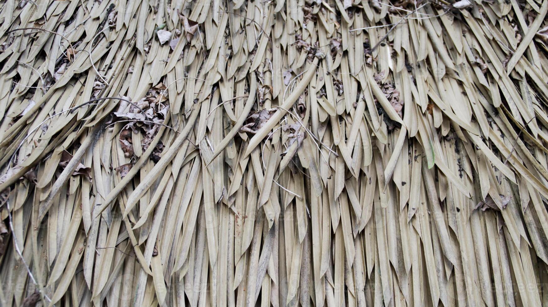 Close-up of Straw or Dry Coconut Leaves Forming a Natural Background with Detailed Texture and Organic Patterns photo