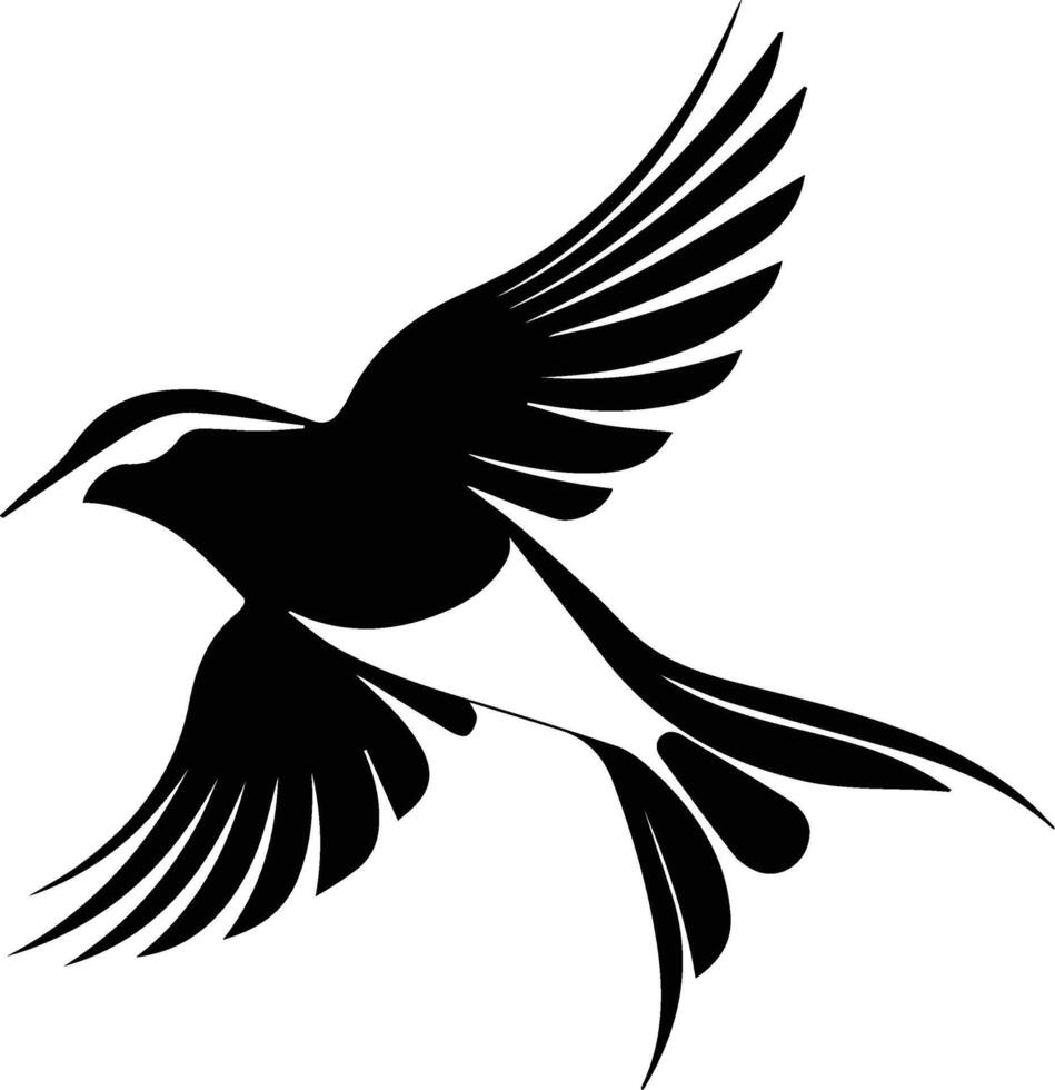a black and white bird flying in the air vector