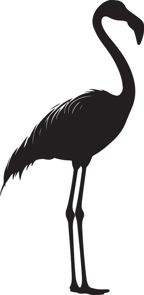 a black silhouette of a flamingo standing on a white background vector