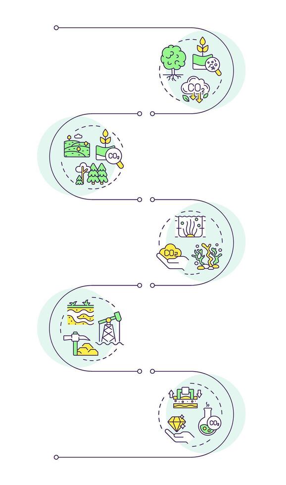 Types of carbon sequestration infographic vertical sequence. Deforestation, pollution. Visualization infochart with 5 steps. Circles workflow vector