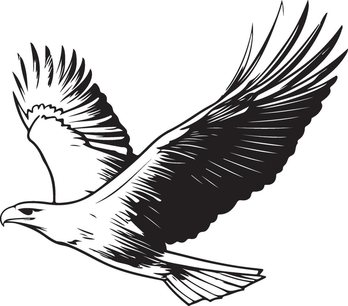 a black and white drawing of an eagle flying vector