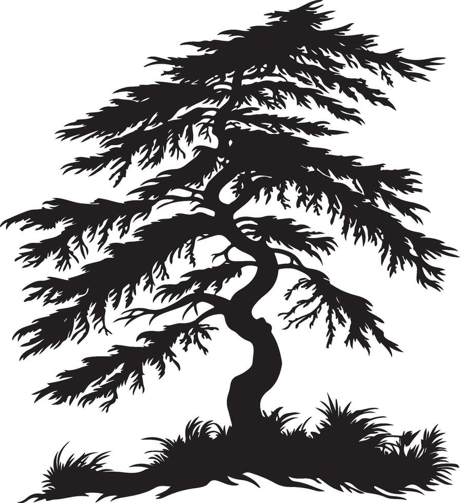 silhouette of a cedar tree vector