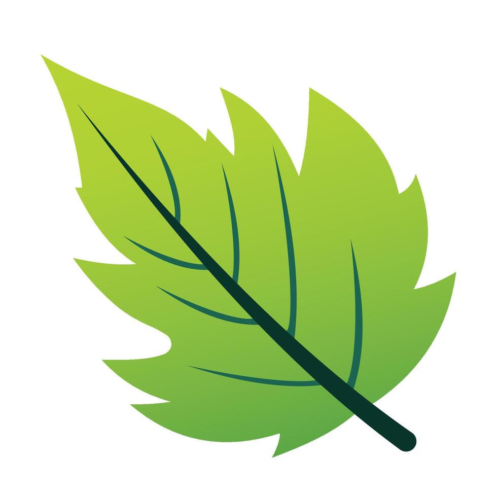 Illustration Design from nature theme. design of a leaf. combination of flat design and gradient color vector