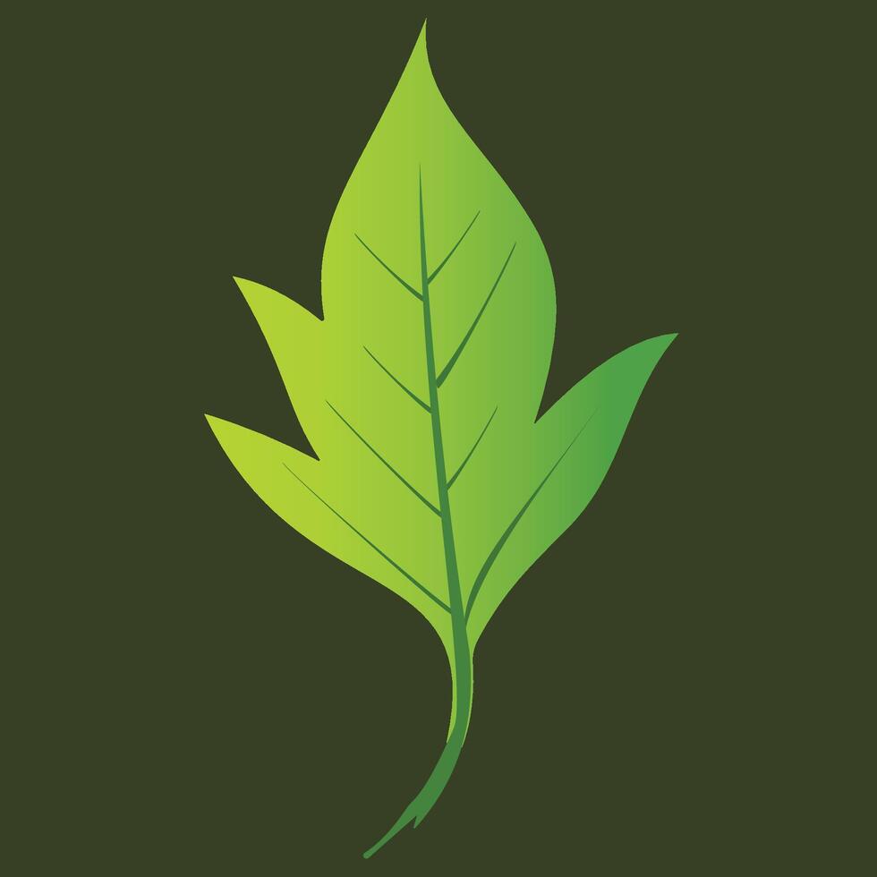 Image of green leaf design with green gradient color, with dark green background vector