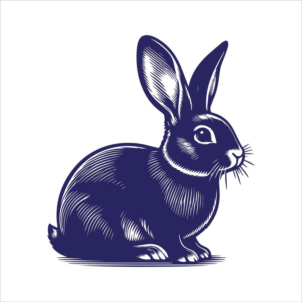 a rabbit is sitting on a white background vector