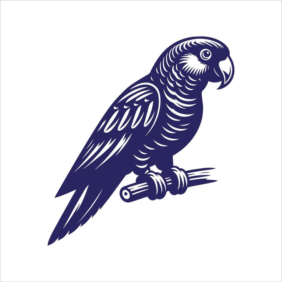 an illustration of an african grey parrot vector