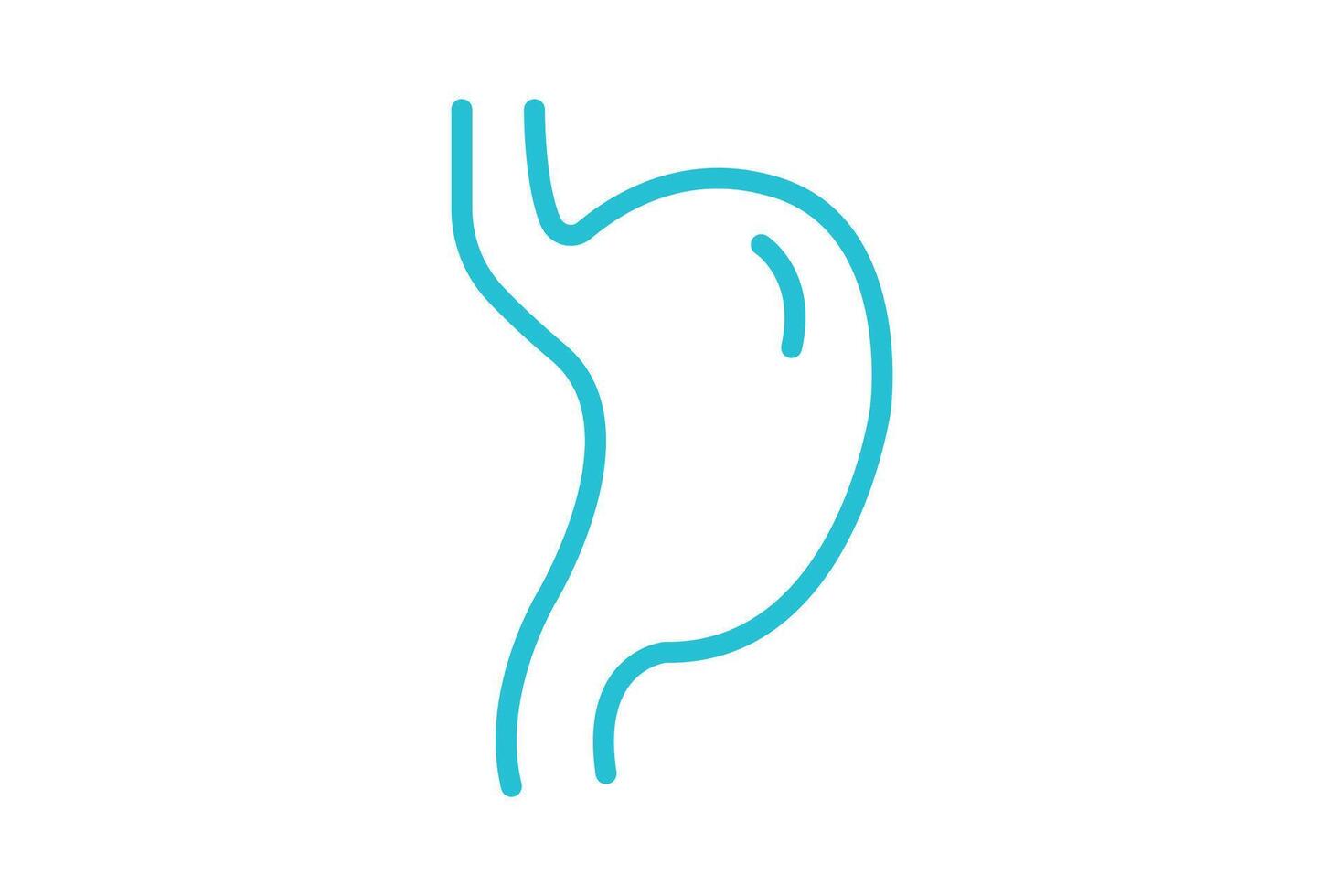Stomach icon. line icon style. icon related to medical. health elements illustration vector