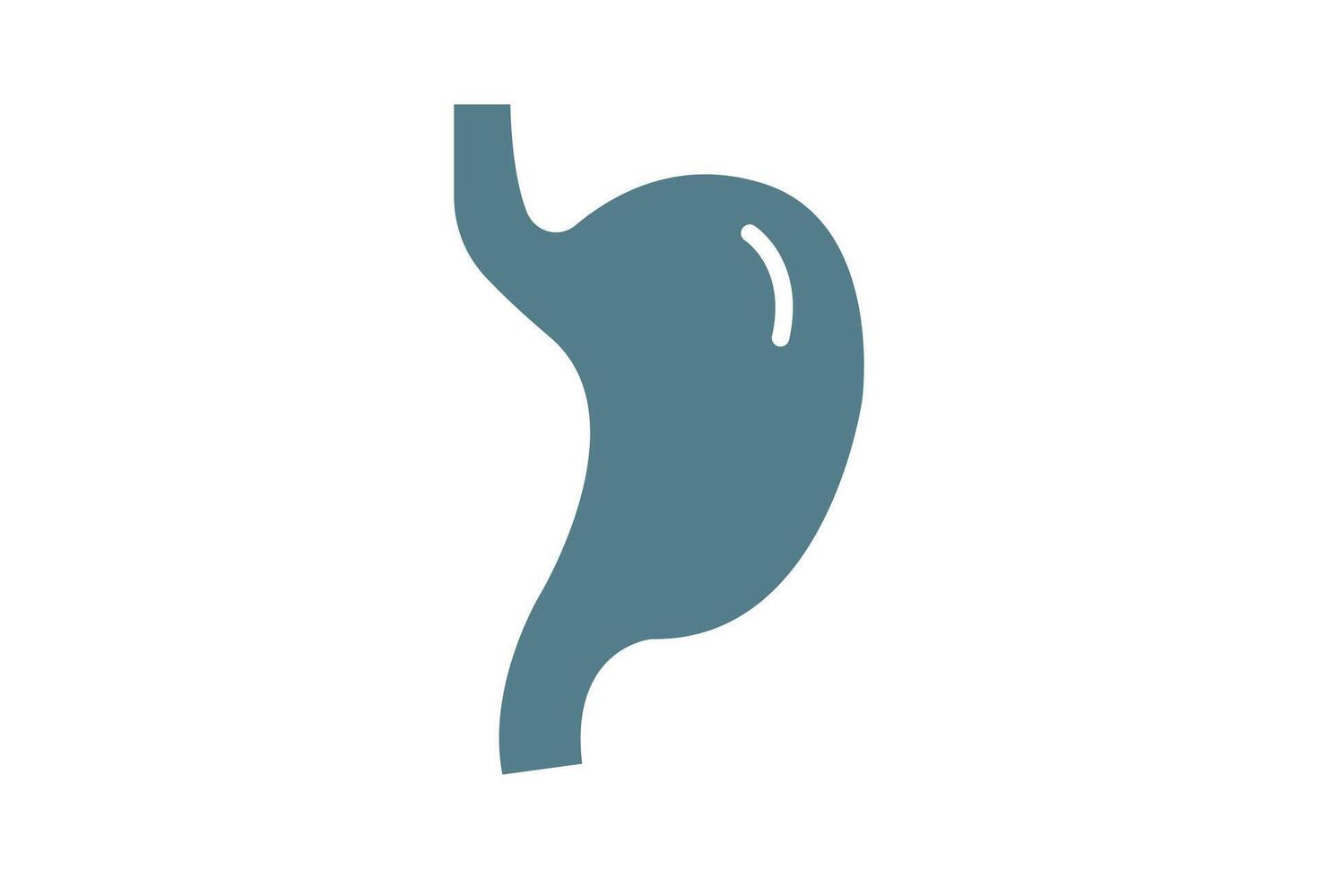 Stomach icon. solid icon style. icon related to medical. health elements illustration vector