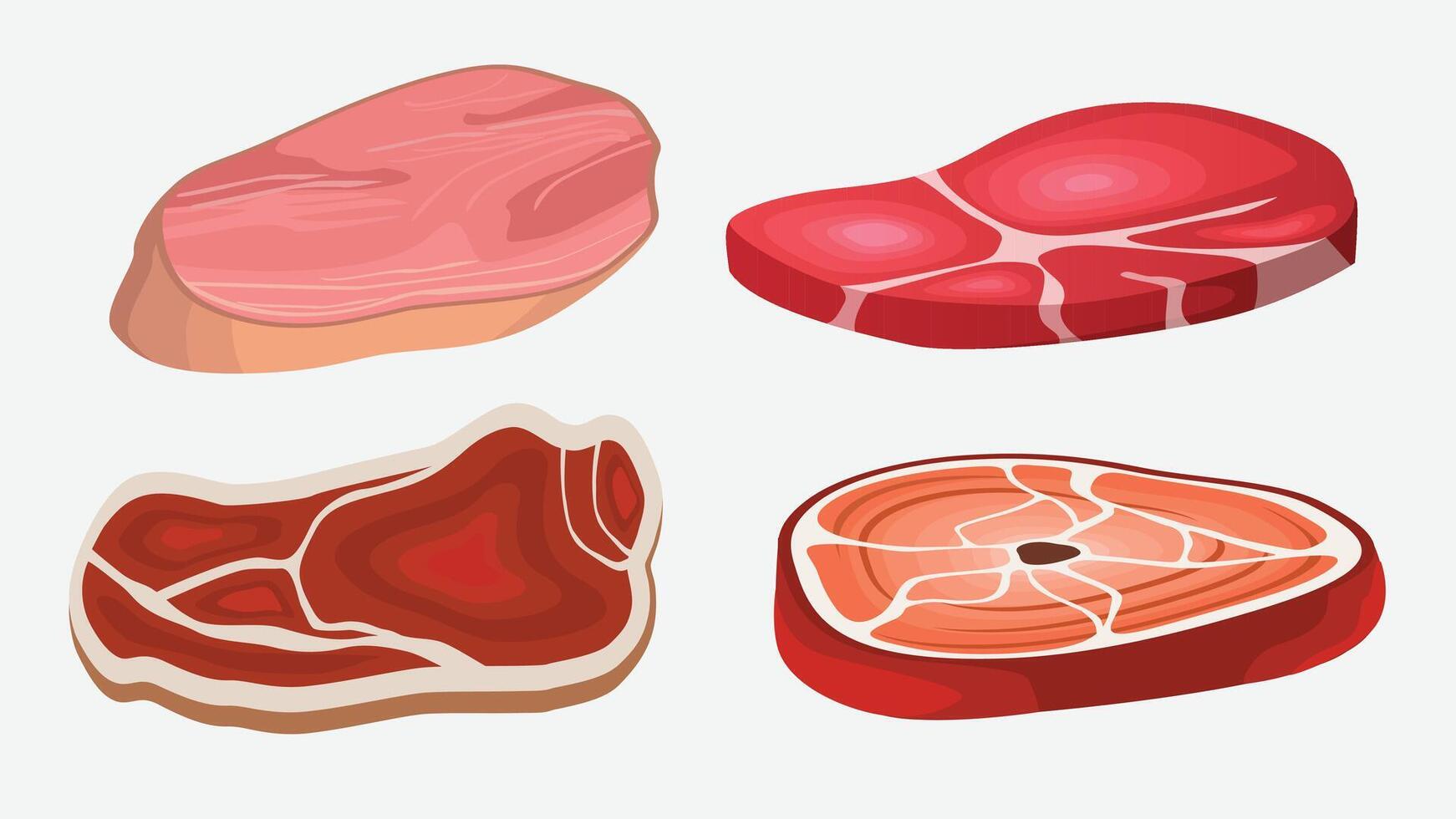 various types of Meat slices of ham and beef illustration vector