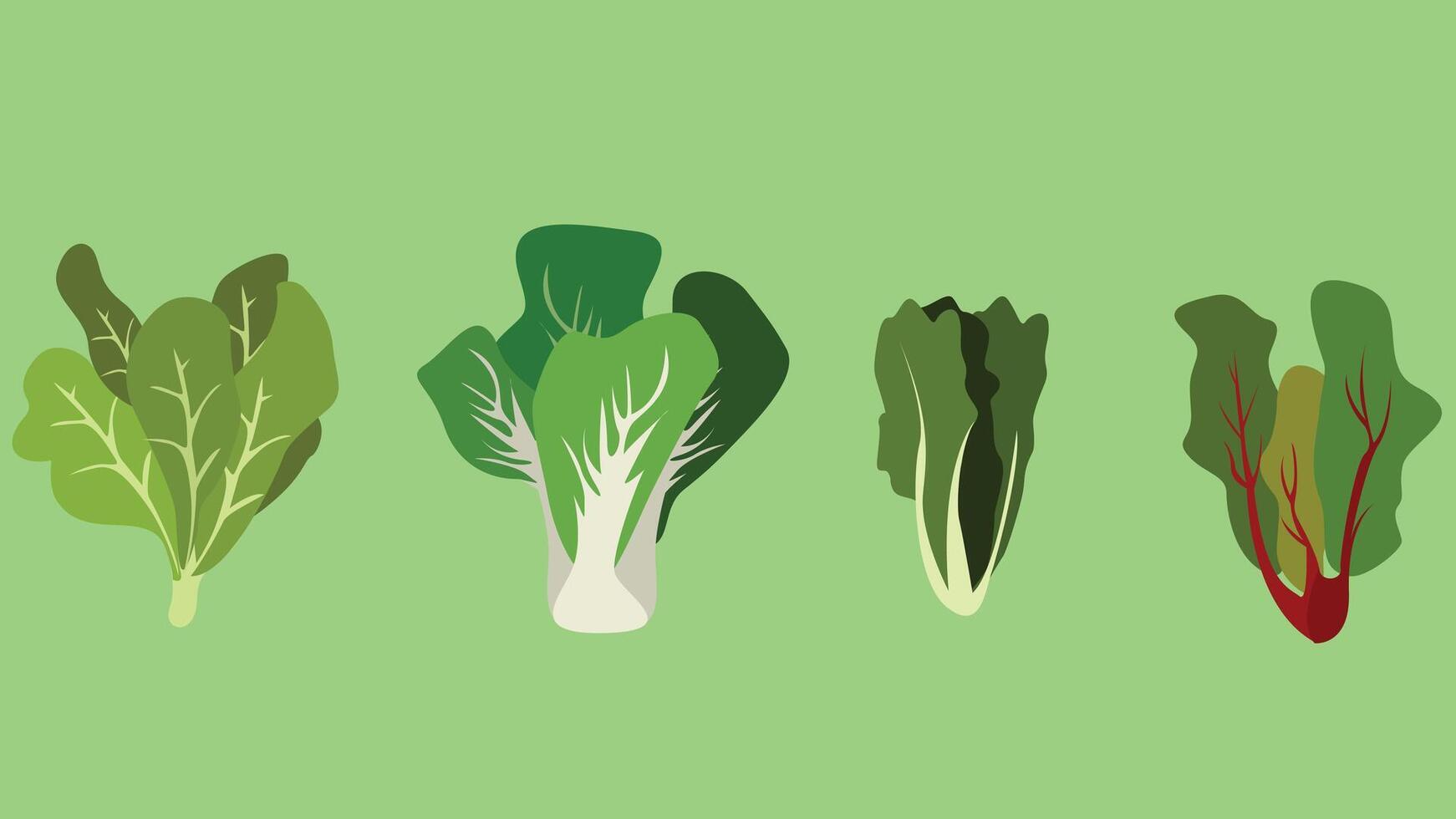 A set of four types of vegetables on a green background vector