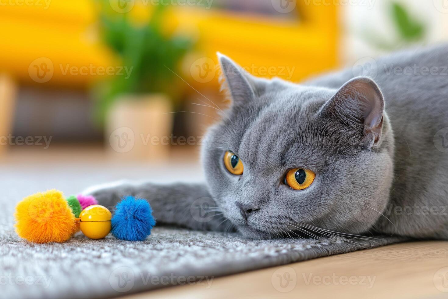 A Russian Blue cat engages with a colorful toy on a cozy rug in a sunlit living room photo