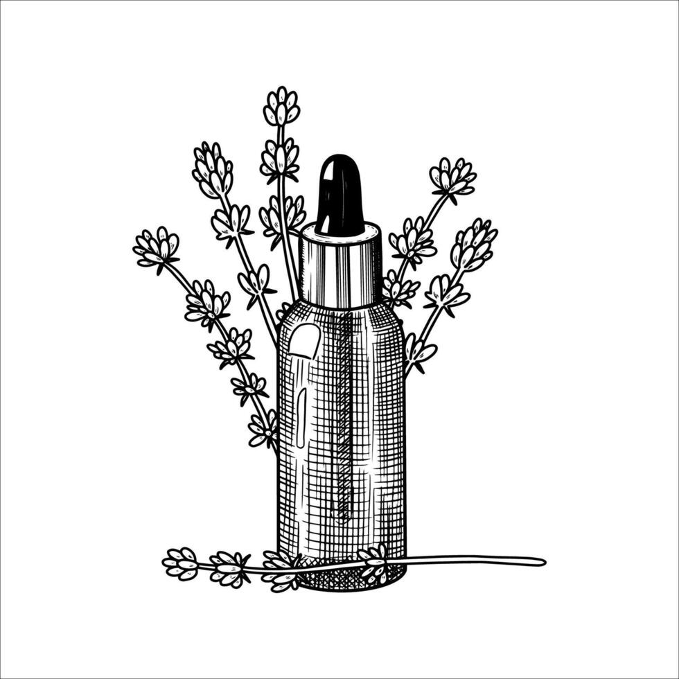 Hand drawn lavender essential oil bottle. Spa collection. illustration vector