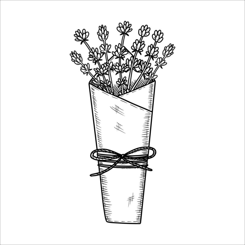 Hand drawn lavender bouquet. illustration vector
