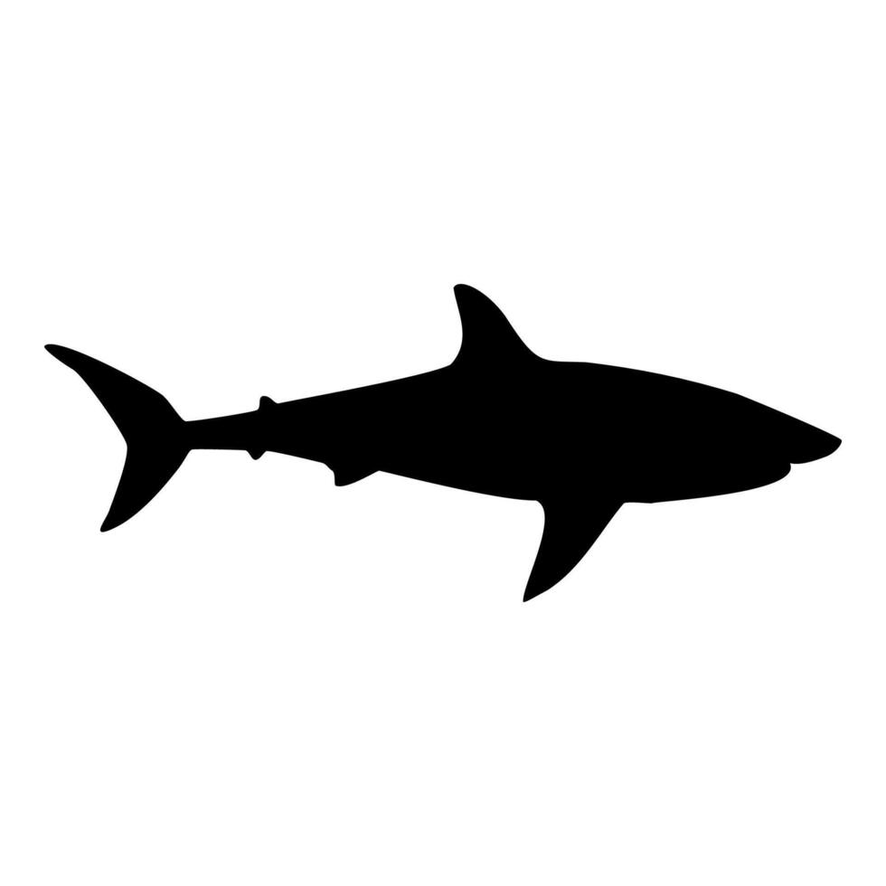 Shark isolated black silhouette. Side view. Marine animal. White background. illustration clipart. Tiger or blue shark. vector