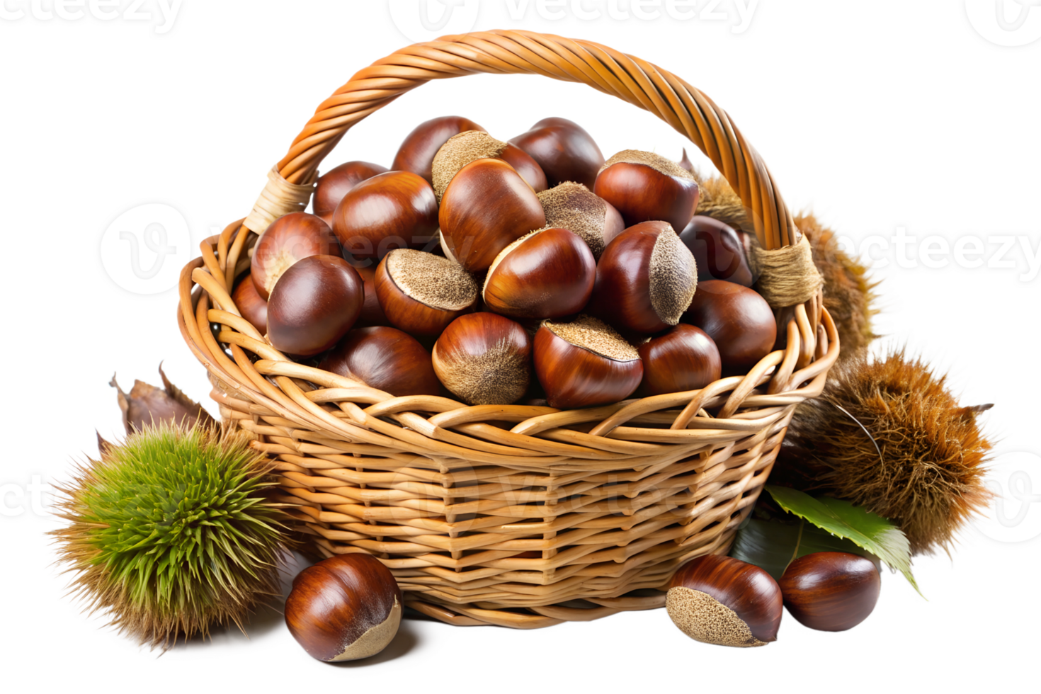 Lots of Chestnut png