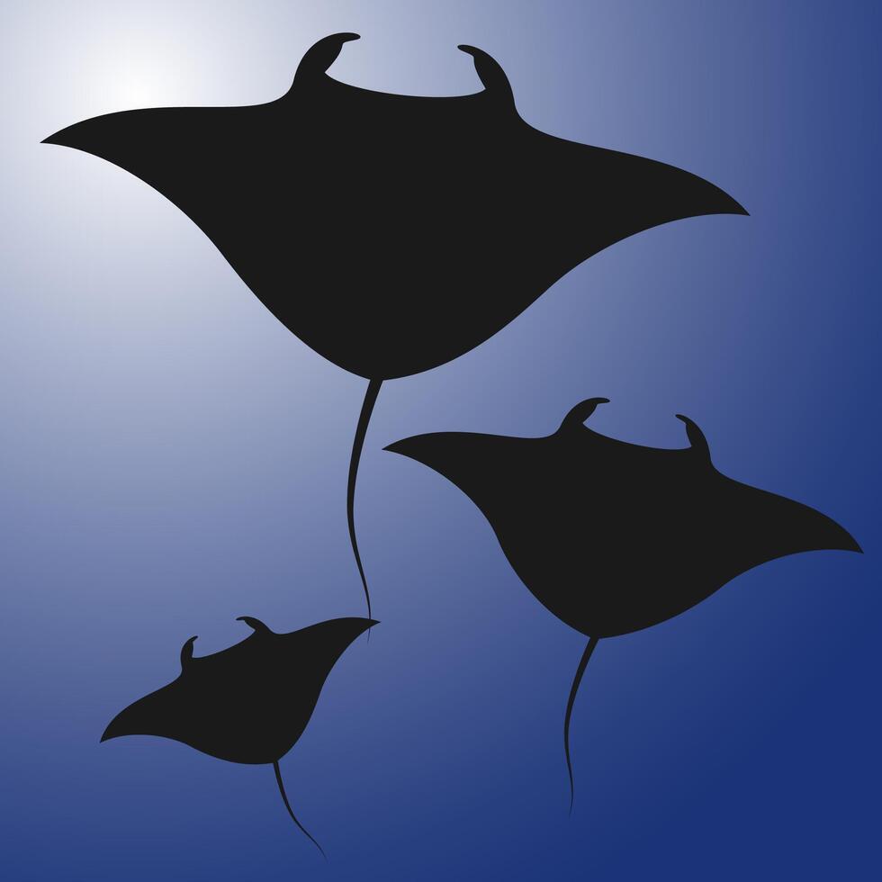 Stingray icon. Manta ray black silhouette isolated on blue background. underwater view Stingray or Manta ray black silhouette vector