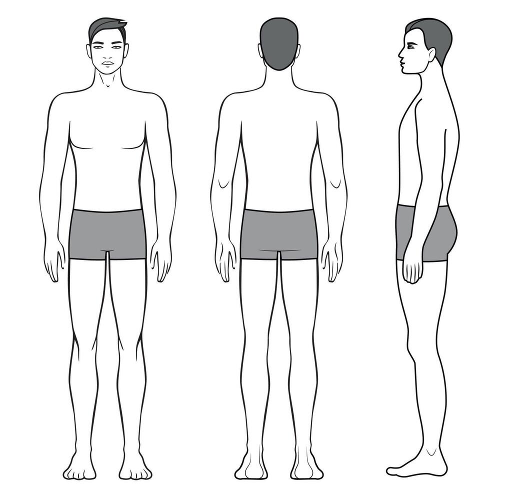 Illustration of men body. Front, back and side view vector