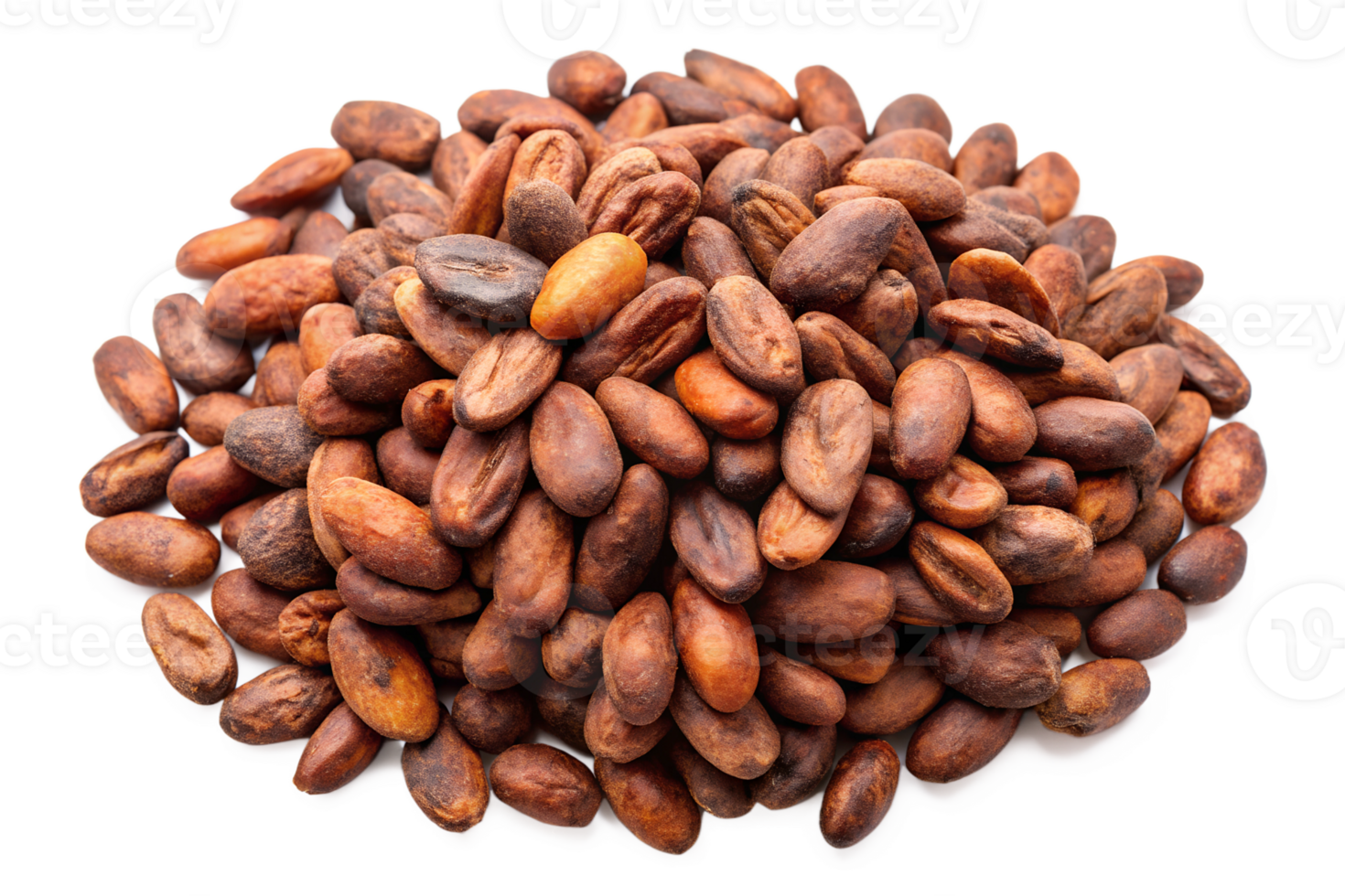 cocoa beans isolate on transparency background png