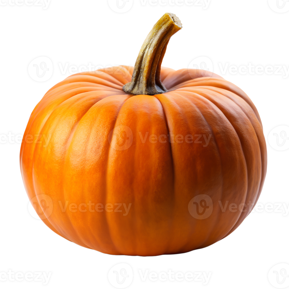 Pumpkin isolate on transparency background png