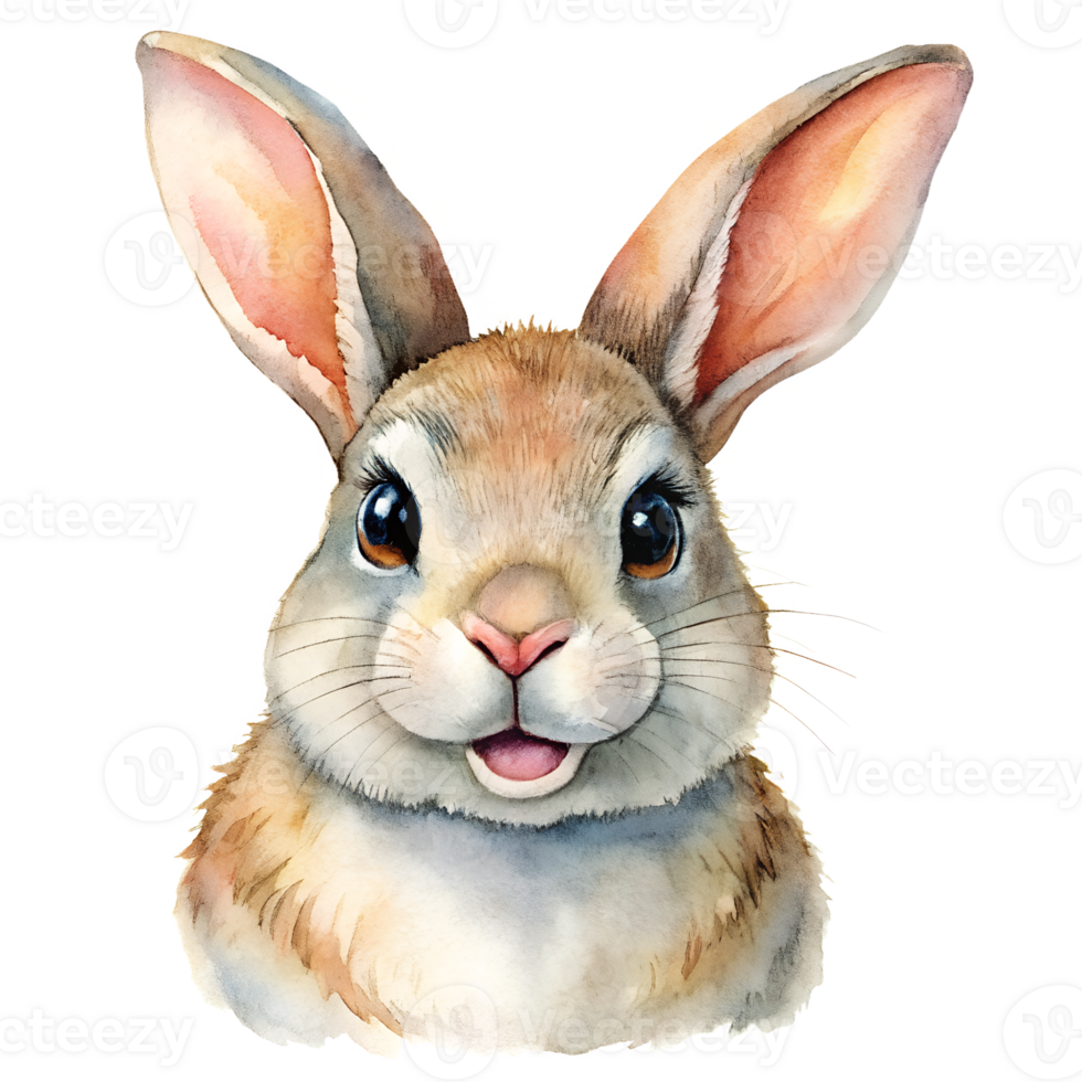 Watercolor hand drawn Rabbit smiling png