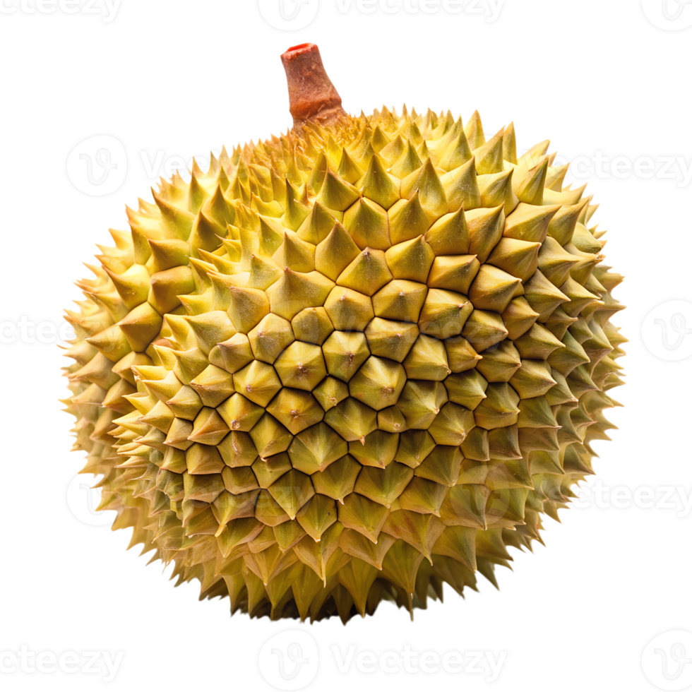 Durian isolate on transparency background png