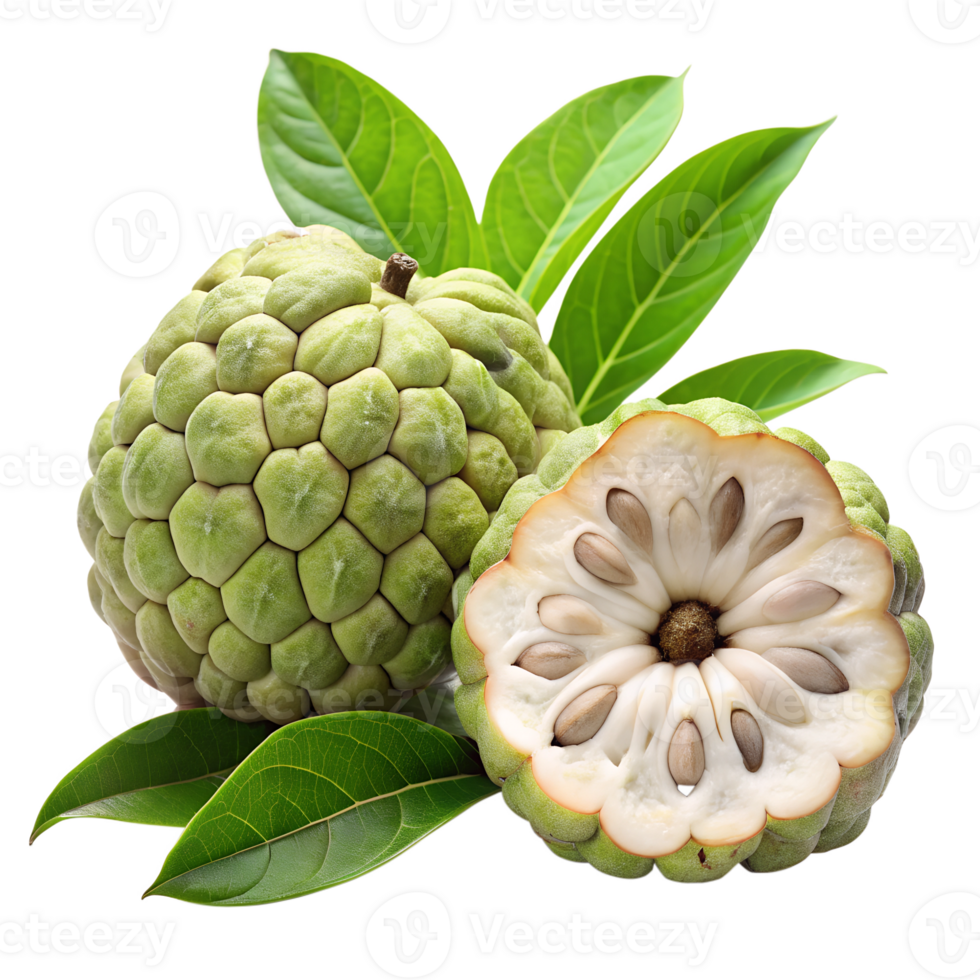 Custard apple isolate on transparency background png