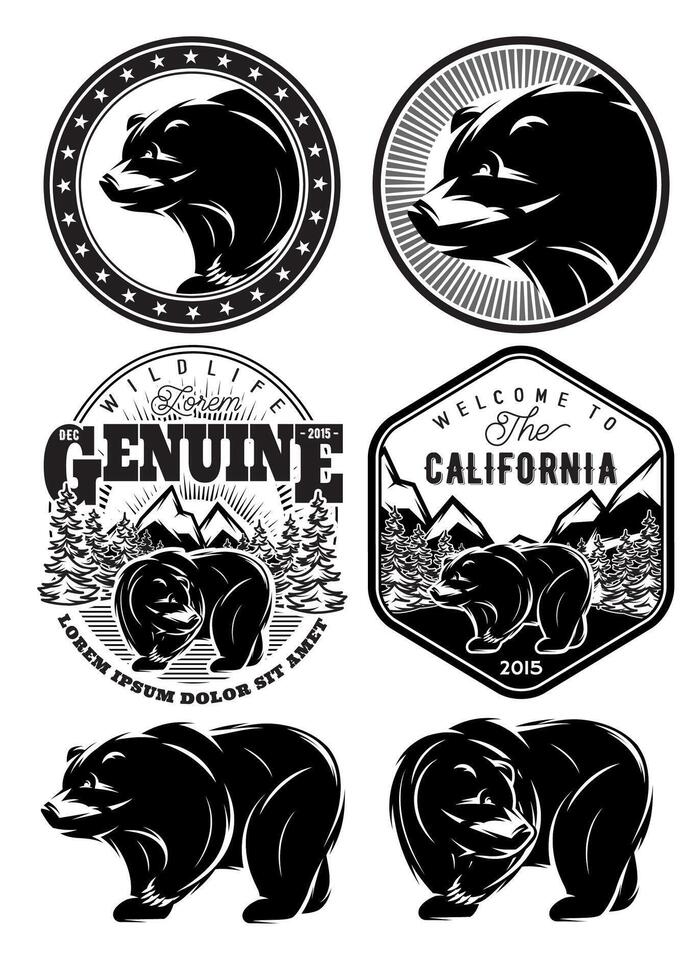 set of stylish retro badges with bears forest mountains vector