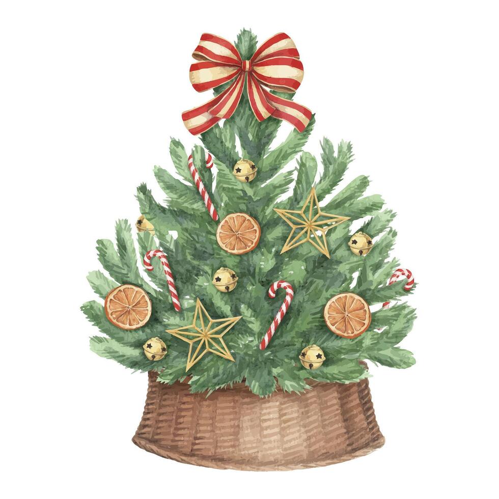 Decorated Christmas tree in wicker basket in rustic style. Hand drawn watercolor winter holiday illustration. Isolated drawing for Xmas graphic and tradition festive decoration card designs. vector