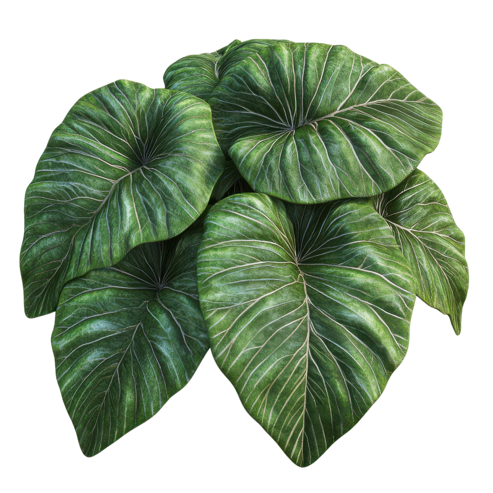 3d style tropical leaves showcasing vibrant green hues and detailed textures png