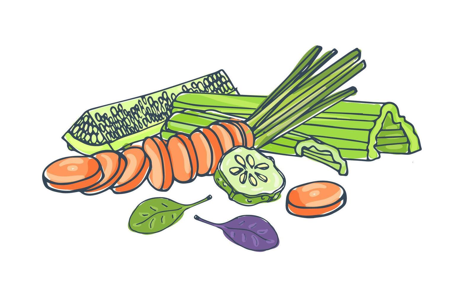 Composition with fresh tasty vegetables lying together isolated on white background - cucumber, celery, carrot, basil leaves. Healthy vegetarian food. Colorful hand drawn illustration. vector