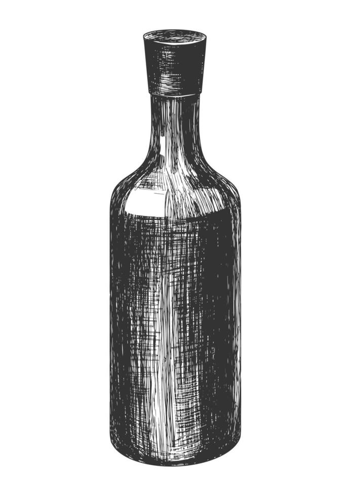 Wine bottle sketch isolated on white background. Engraving style bottle. Black and white hand drawn illustration vector