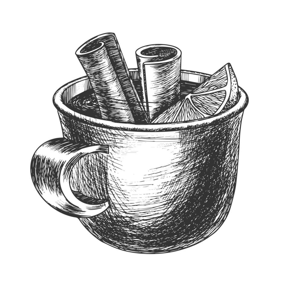 Mulled wine mug with orange and cinnamon. Cup of mulled wine sketch. Engraving style illustration. Winter warm drink with spices. Christmas alcohol vector