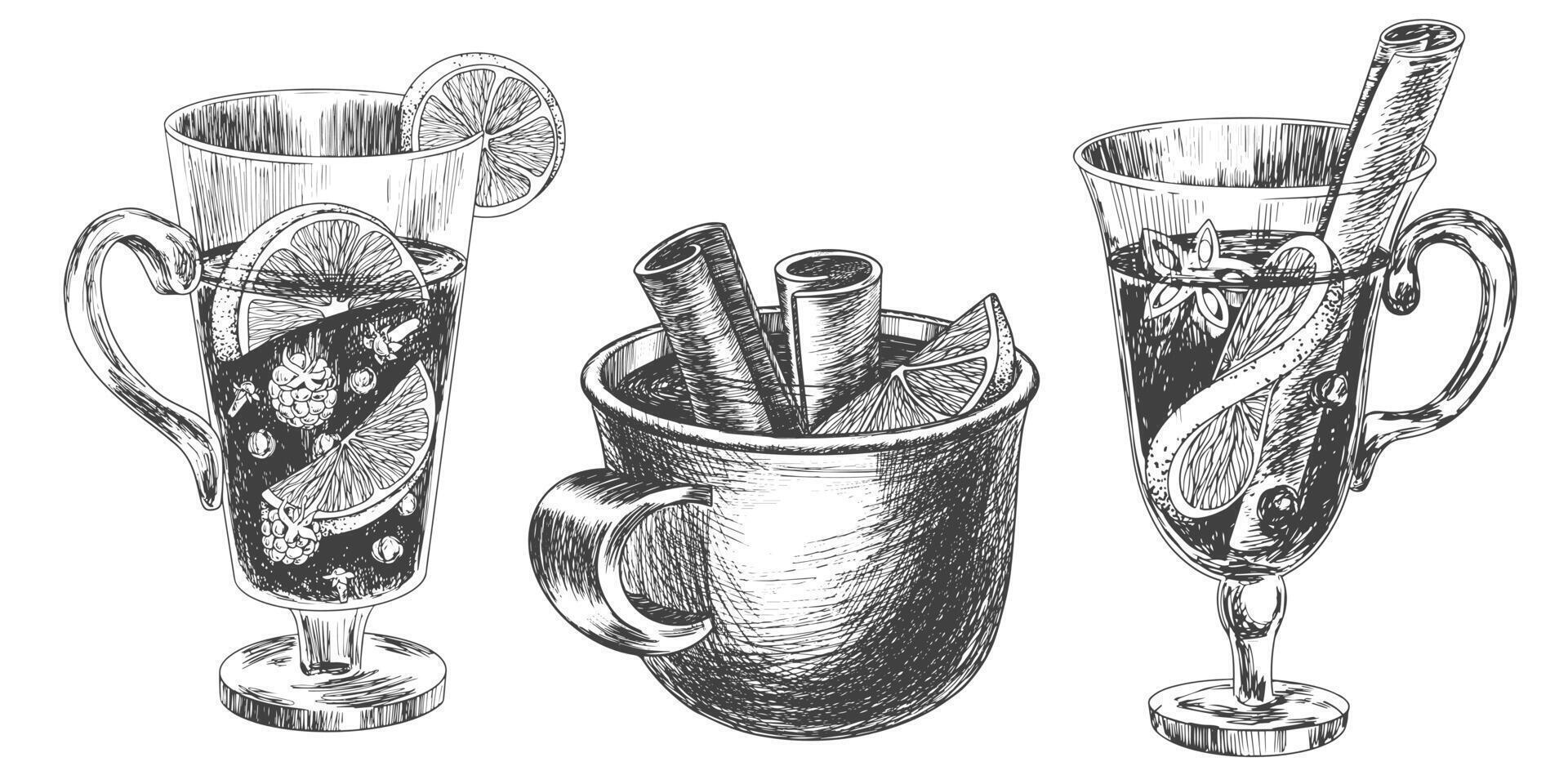 Set of different glasses with mulled wine. Sketch style mug of mulled wine. Engraving style Christmas drinks with spices, orange, cinnamon. Black and white hand drawn illustration with winter drinks vector