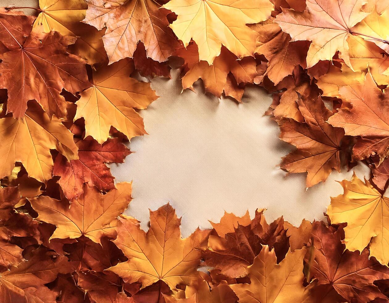Concept background of Pile Lots of maple leaves photo