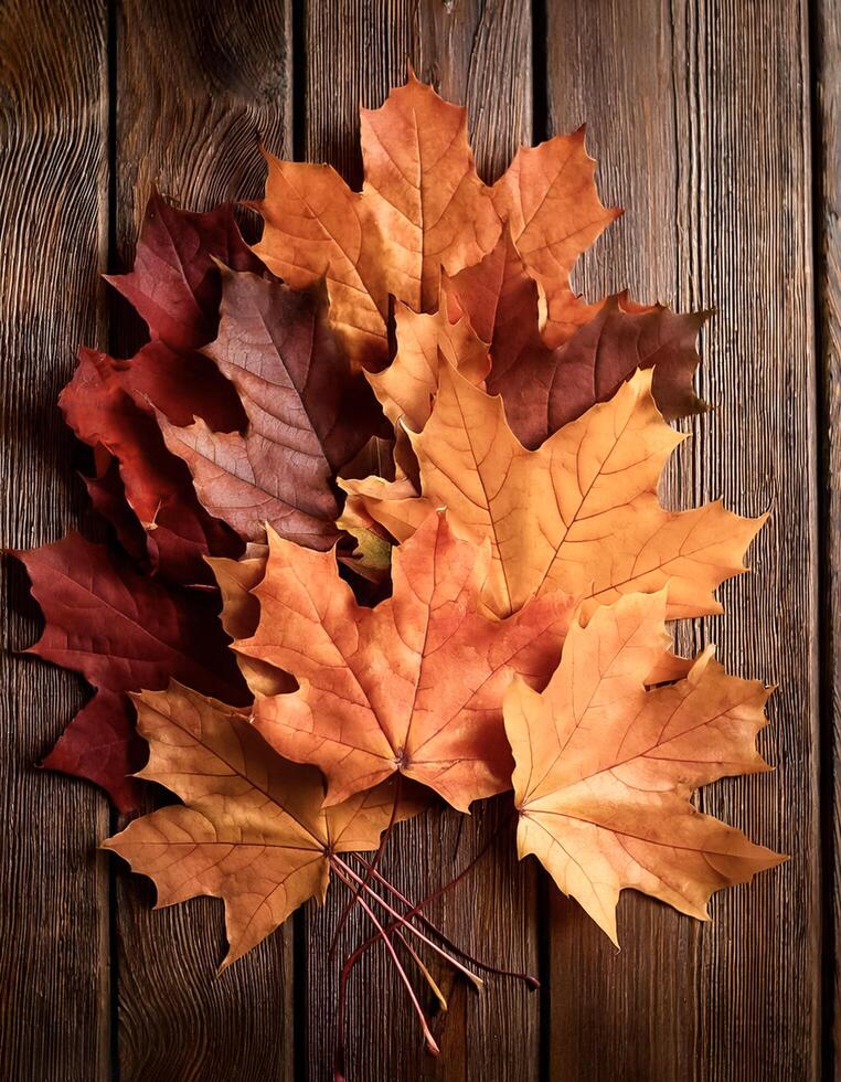 Concept background of Pile Lots of maple leaves photo