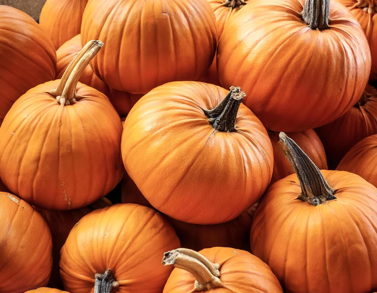 Pile Lots of pumpkin. pumpkin Background Concept. photo