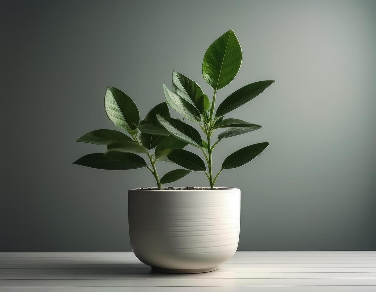 Small plant in a simple pot on a Minimalist background photo