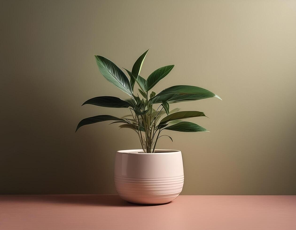 Small plant in a simple pot on a Minimalist background photo
