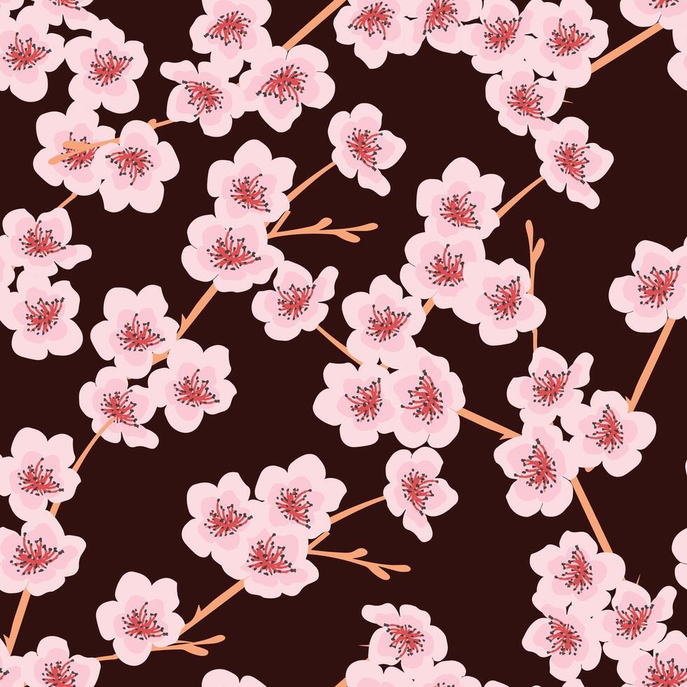 cherryblossom flower pattern vector