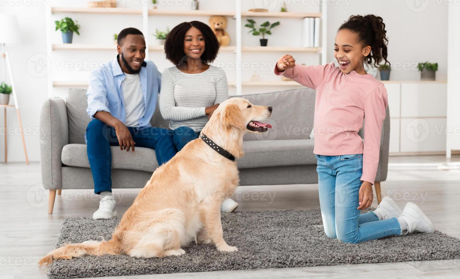 Pet Care And Love Concept. Smiling African American girl playing with dog, feeding labrador with biscuits treats, training at home in living room, mom and dad sitting on sofa, modern house interior photo