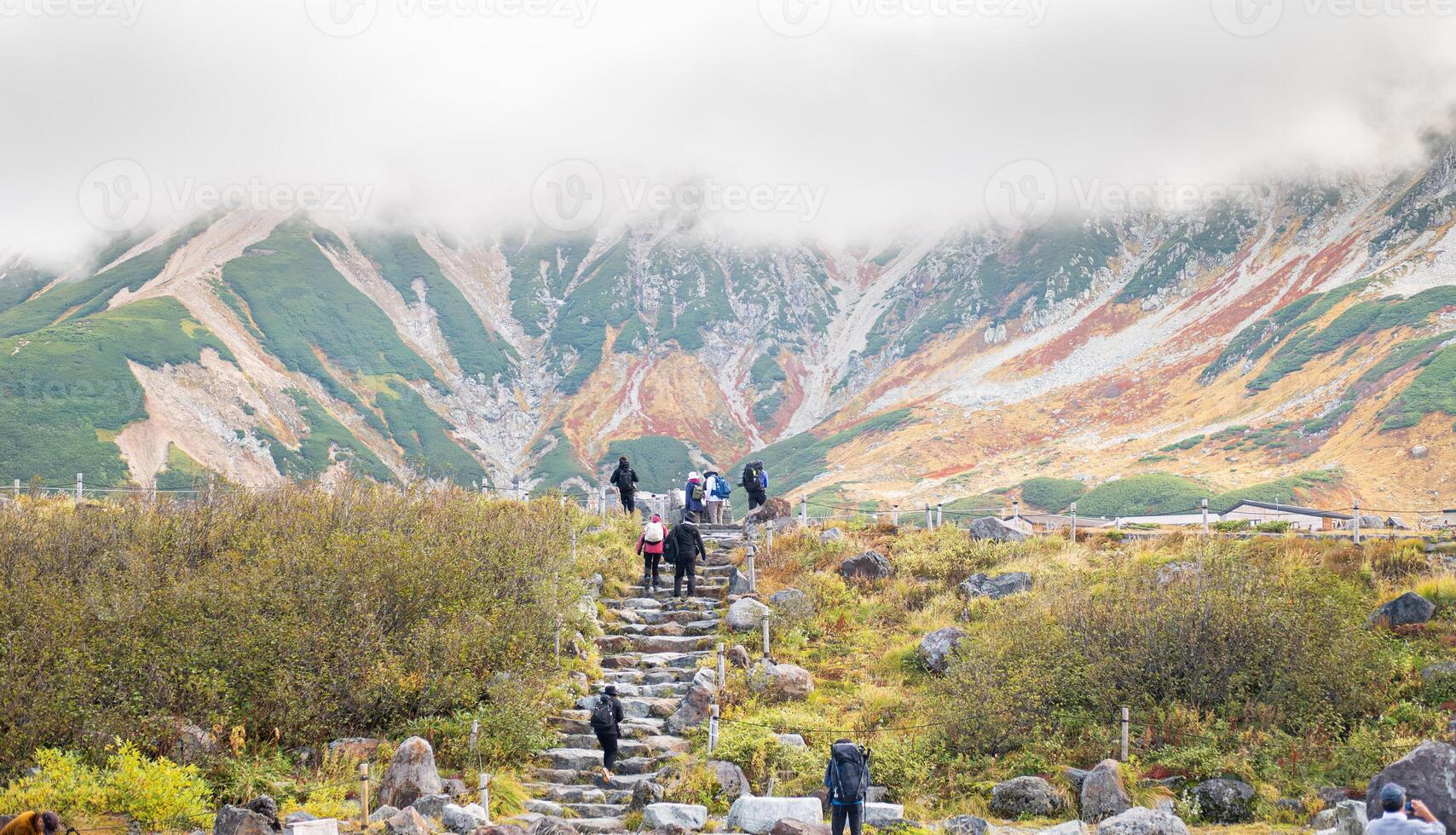 Murodo, Tateyama Kurobe Alpine Route, Japan, Hikers traverse a stone path leading through lush vegetation towards a colorful mountainous landscape shrouded in clouds. photo