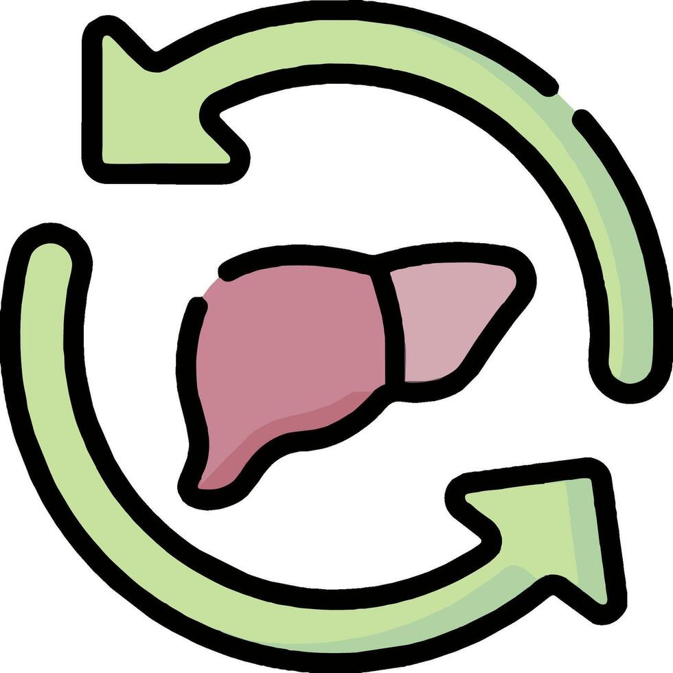 Liver health clipart vector