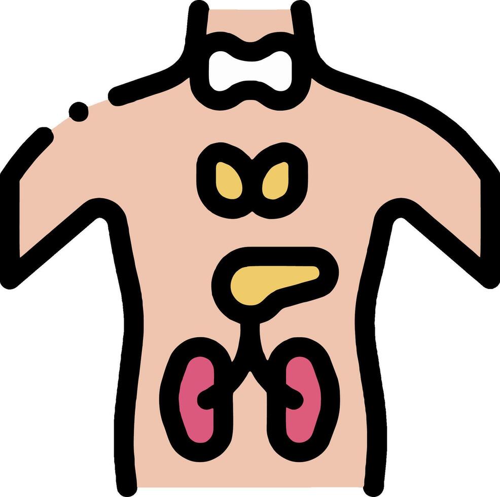 The human body with the kidneys and liver vector