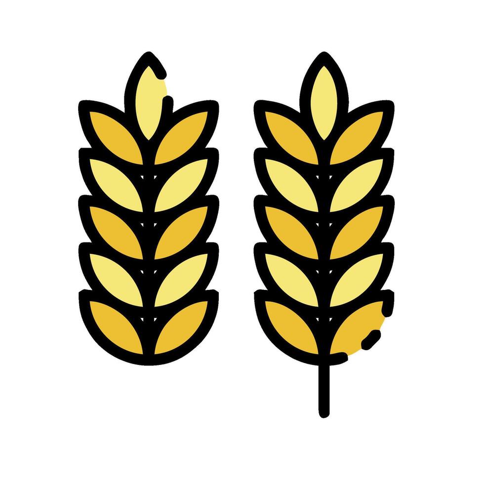 Two wheat ears on a white background vector