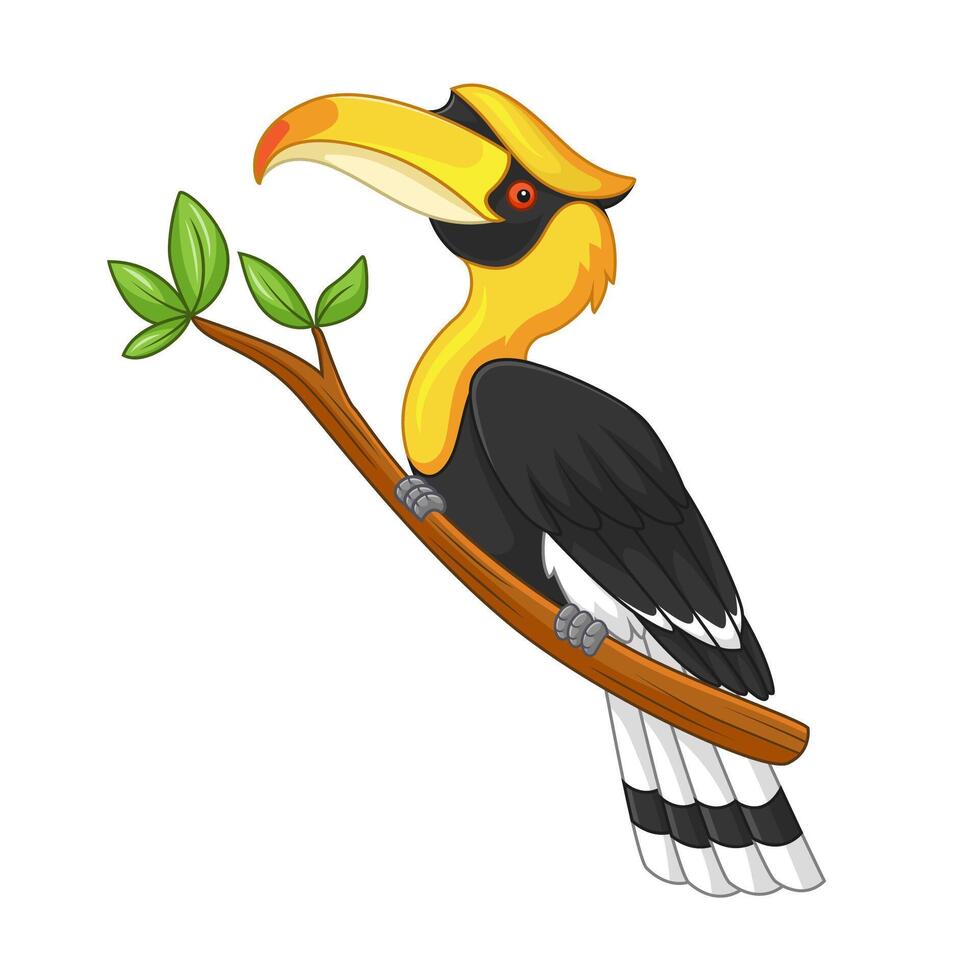 Cartoon hornbill on the branch vector